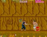 Iga Ninjutsu Den (c) 1988 Jaleco