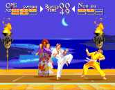 The Karate Tournament (c) 1992 Metro