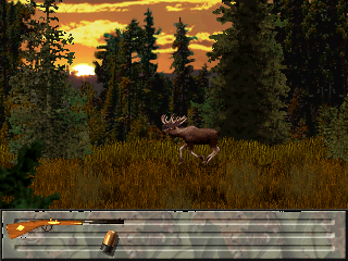 Trophy Hunting - Bear & Moose